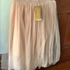 Beautiful Francesca’s Midi Tulle Skirt
